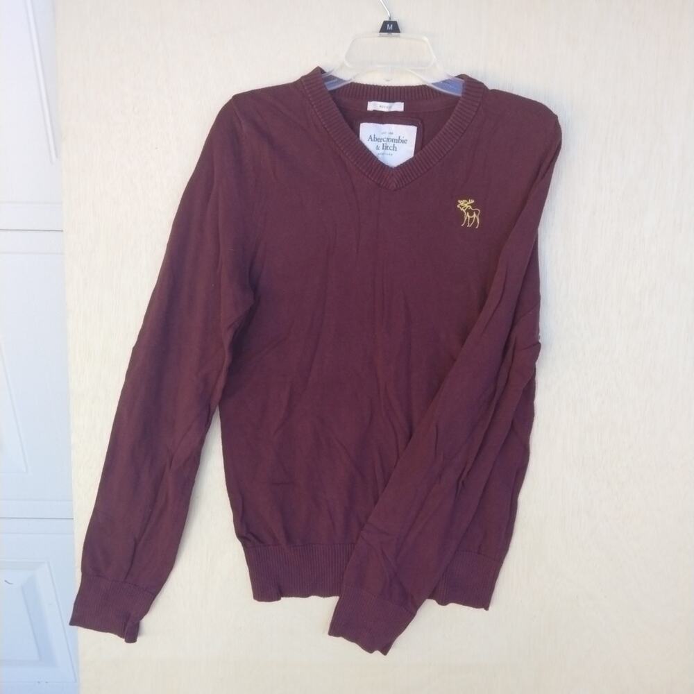 Abercrombie & Fitch Men's Medium Muscle Cotton Sweater V-Neck Moose Y2K Preppy